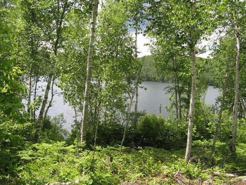 Terrain Bord de l'eau