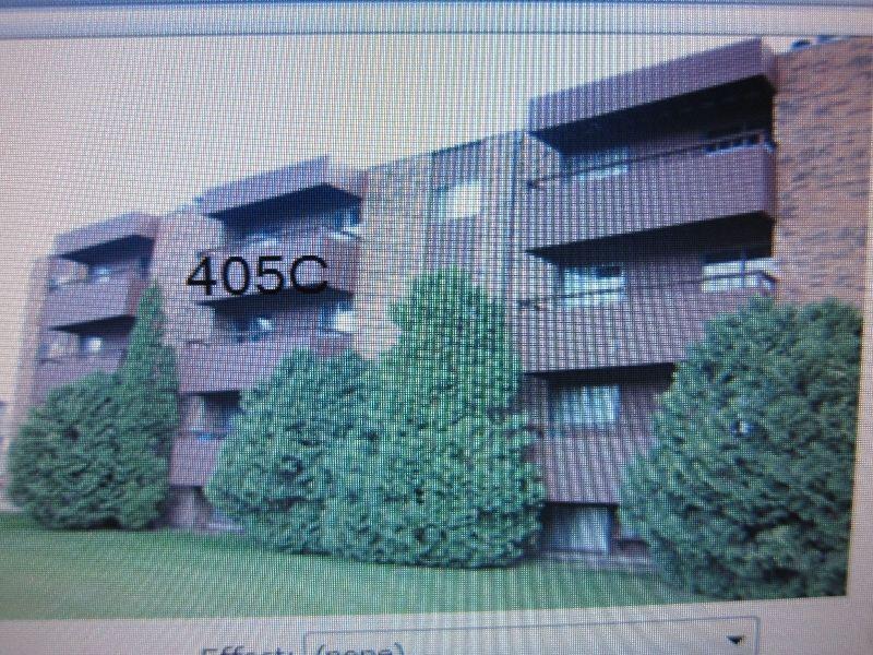Lakeview 2 bedroom condo