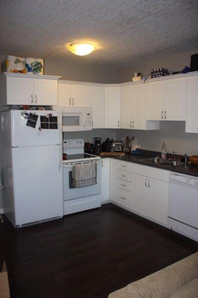 Willowgrove 2 bedroom legal basement suite available August 1