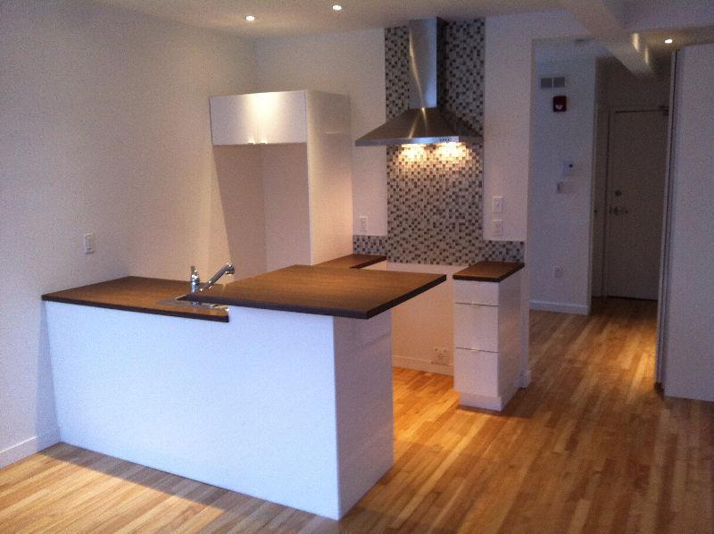 3 ½ style LOFT centre-ville de