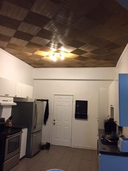 Grand appartement style loft 700$