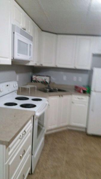 Three Bedroom Basement Suit for only $ 1100