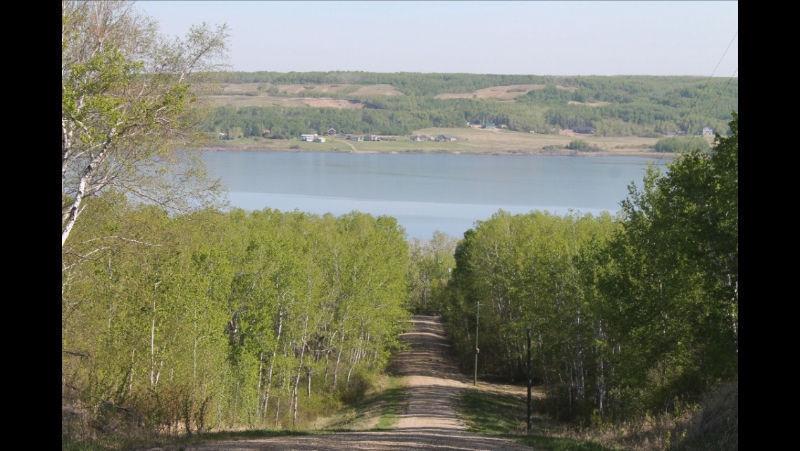 Cottage / Acreage for SALE at Lake of the Prairies-NEAR PYOTTS W