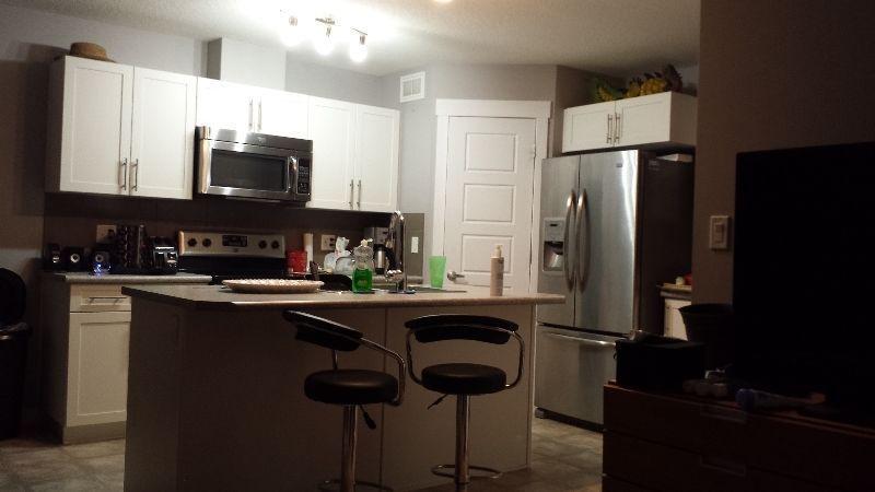2 large rooms available, each have own bathroom, shared kitchen