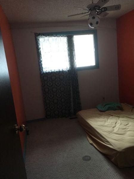 2 Rooms for rent each $400