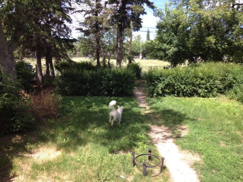 all inclusive room in shared home- available aug. 29