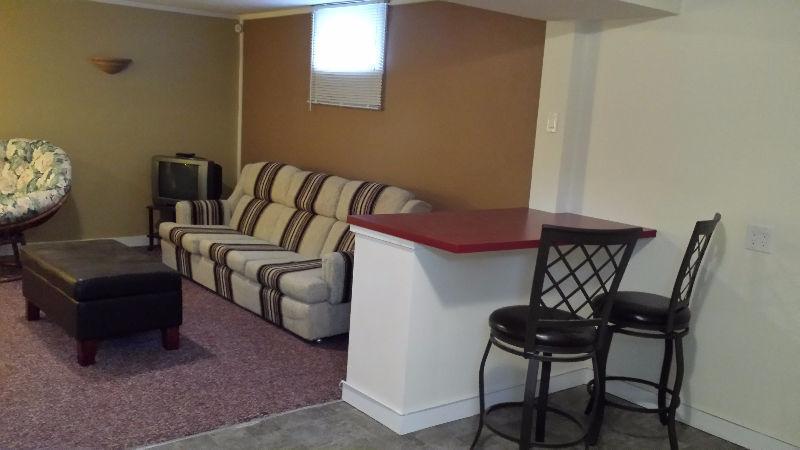 CLEAN SPACIOUS BASEMENT SPACE IMMEDIATE AVAILABLE