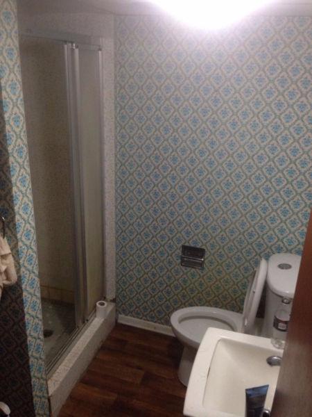 University area basement room. Available from now