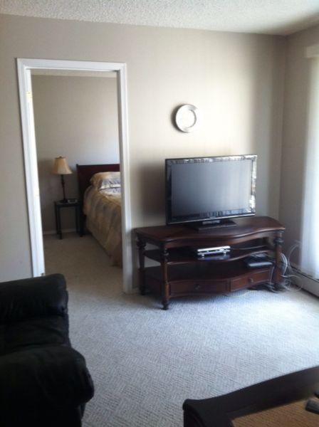 Beautiful one bedroom furnished condo