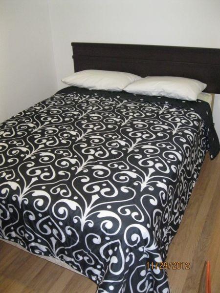 FURNISHED BACHELOR APARTMENT-THICKWOOD-$1099-780-742-6039