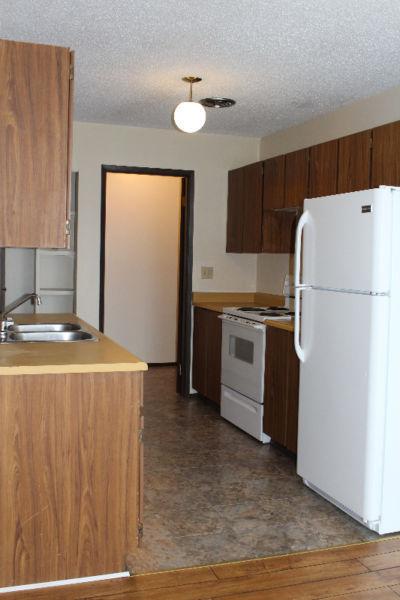 1000 sqft fresh and warm two bedroom in Drumheller