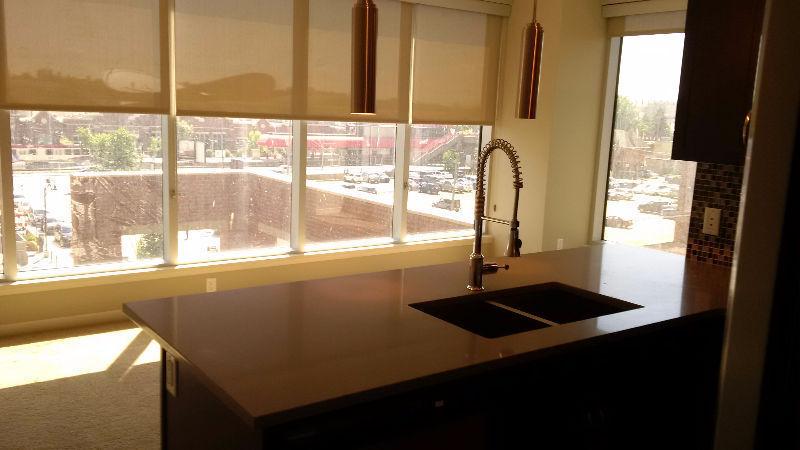 Downtown ALURA 2BR 2Bath 1 Parking Stall - Available IMMEDIATELY