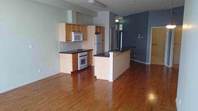 Downtown River Valley AWESOME VIEW 2 Bed 2 Bath udg parking!