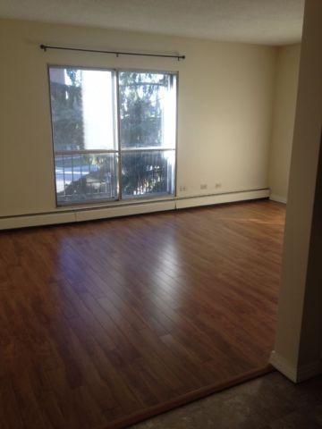 Newly Renovated 2-Bedroom Apartment nearby southgate mall
