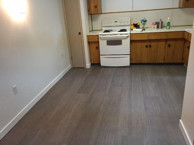 Updated 2 Bedroom Basement Suite Close to Southgate Mall/LRT