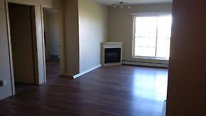 Unfurnished 2 bedrooms, 2 bathrooms condo in Timberlea (Aug 1st)