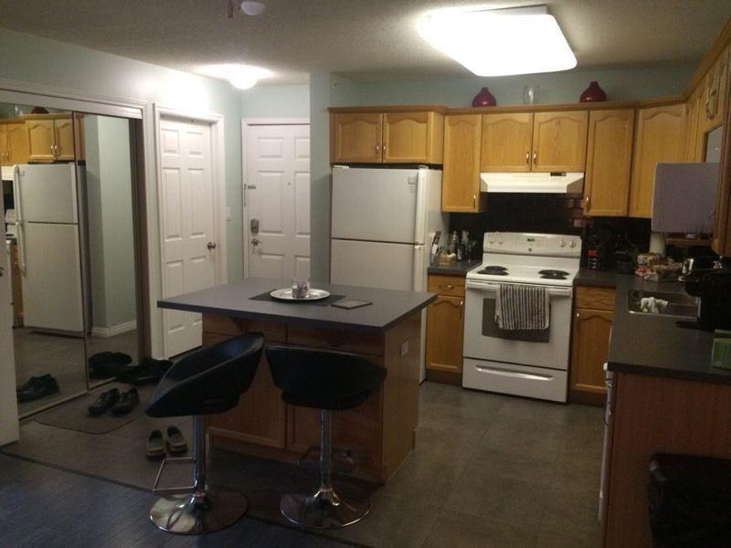 Partially Furnished Apartment for Rent
