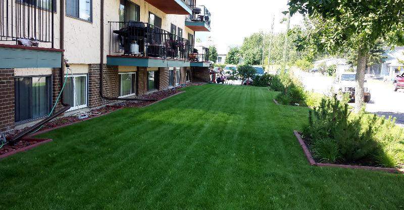 2 BDRM APARTMENT FOR RENT IN CROWSNEST PASS, AB
