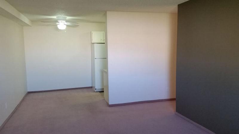 2 Bedroom - FREE Rent, FREE Telus + Incentives* - Cornett