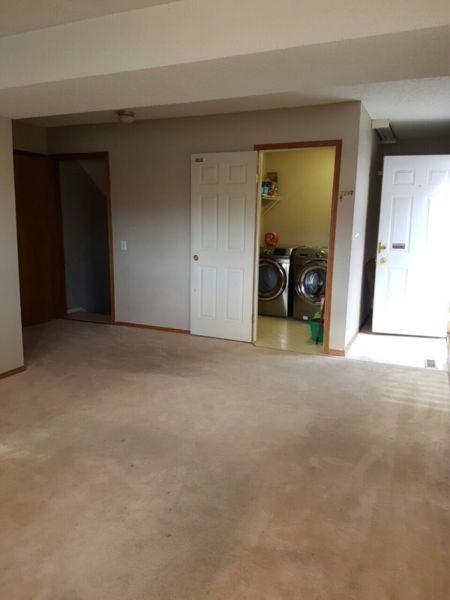 Basement-2 level split for rent