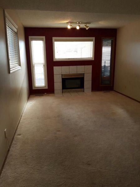 Basement-2 level split for rent