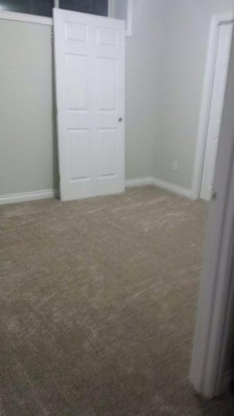 Brand new basement for rent