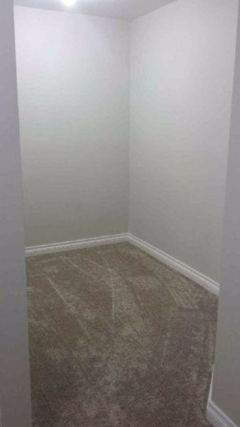 Brand new basement for rent