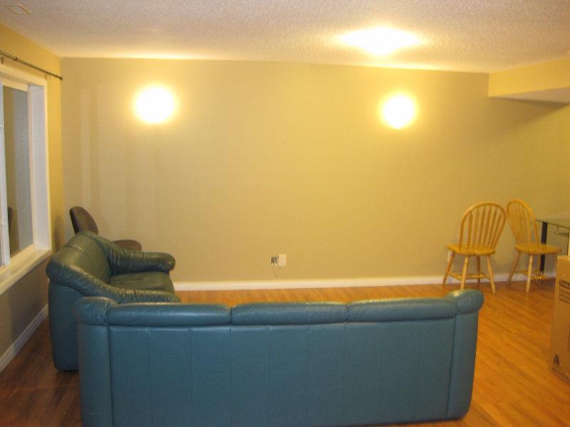 Newly renovated Walkout Basement in Coventry (include utilities)