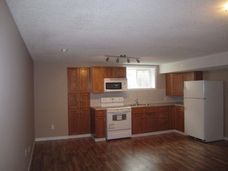 ** Upgraded and Beautiful ** Basement in Temple NE