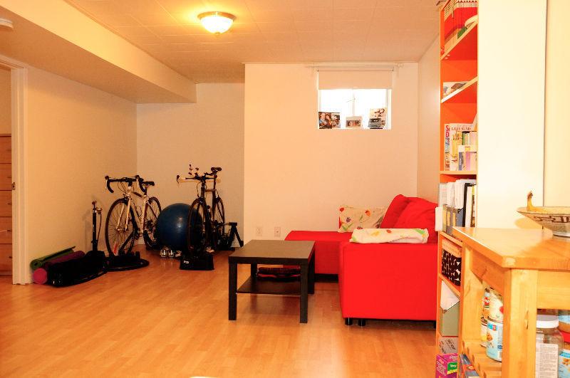 Avail Sept 1 - Huge 1bdrm Basement Suite. Walk to UofA & Whyte!