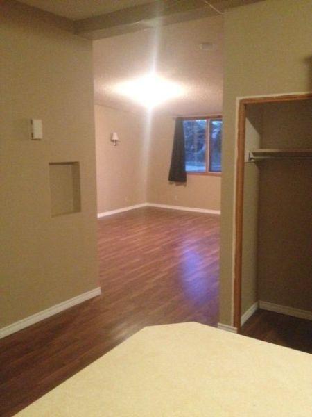 Spacious 2 bedroom main floor suite with large yard