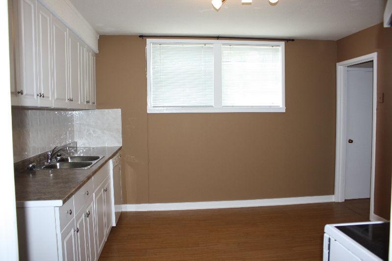 1 bedroom basement suite (2 bdrm upstairs suite also available)