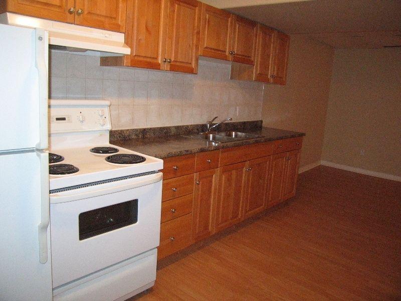 INNISFAIL! Reno'd 1 Bdrm Lower NICE! Utils In! Furnished option!