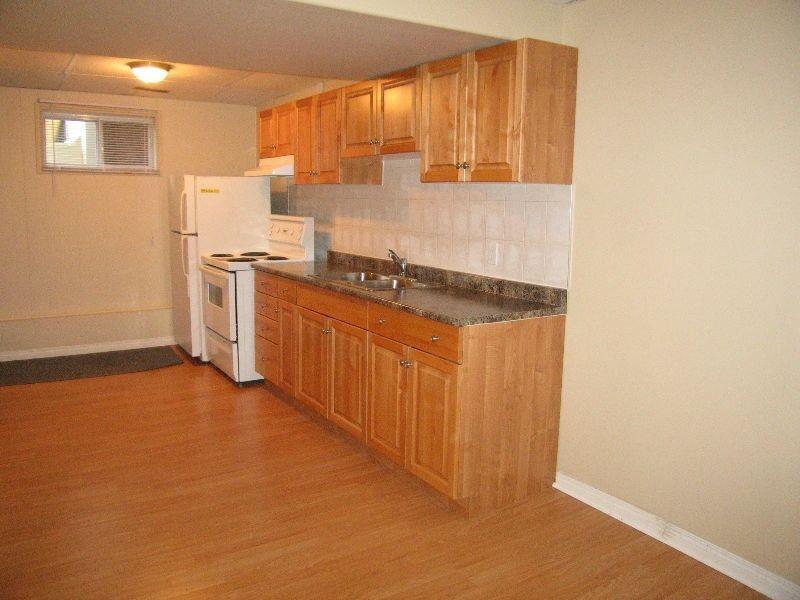 INNISFAIL! Reno'd 1 Bdrm Lower NICE! Utils In! Furnished option!