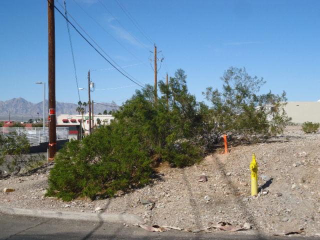 LAKE HAVASU CITY,ARIZONA,USA