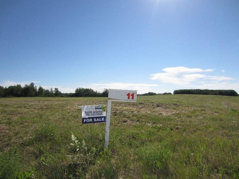 3 acre lot ready to build on!! (BOYLE AB)