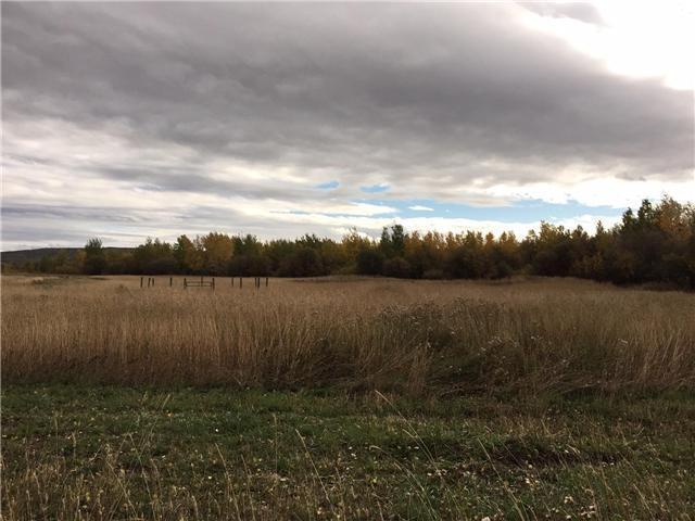 SECLUDED LARGE ACREAGES - BAYTREE AB