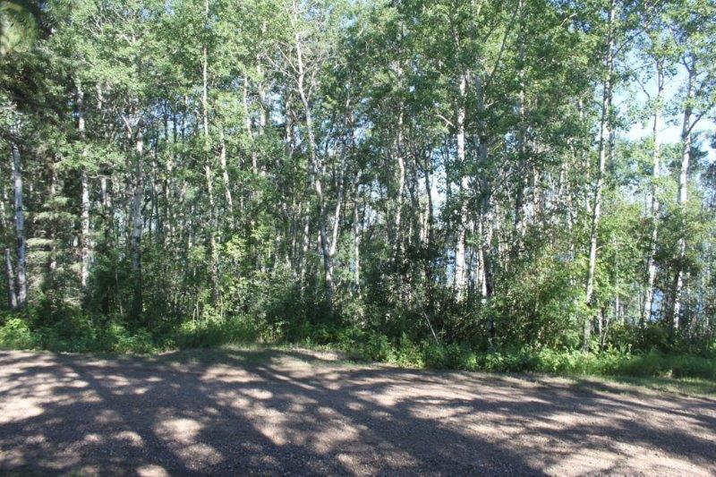 Waterfront treed lot on Murphy Lake, Sask