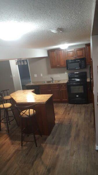 Brand new legal, 2 bedroom suite downtown for rent