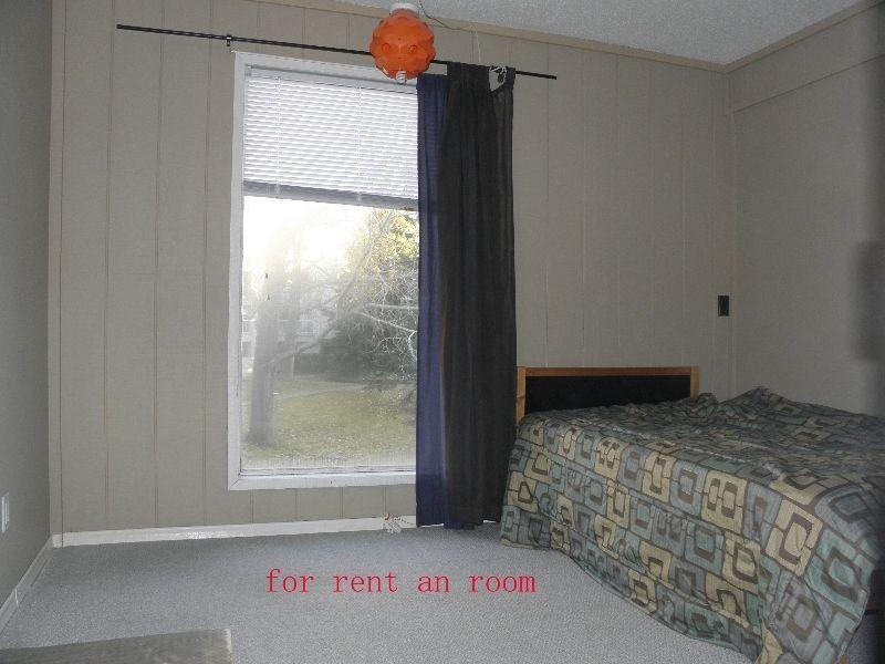 Near University of  a bedroom for rent