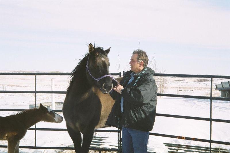 Wanted: Room wanted, to share or rent