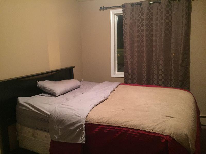 Downtown Furnished room for rent in a 2 bedroom apartment