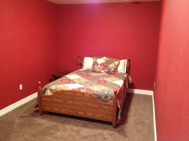 Room for rent in walkout basement