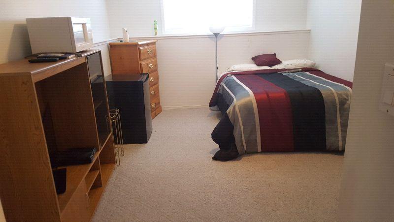 Large Basement Bedroom