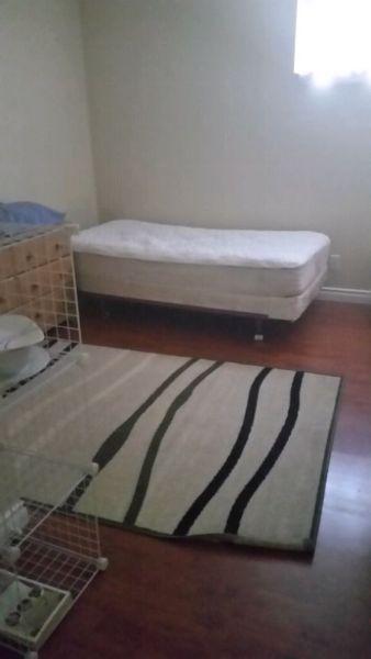 Excellent Condo Room for Professional Male!