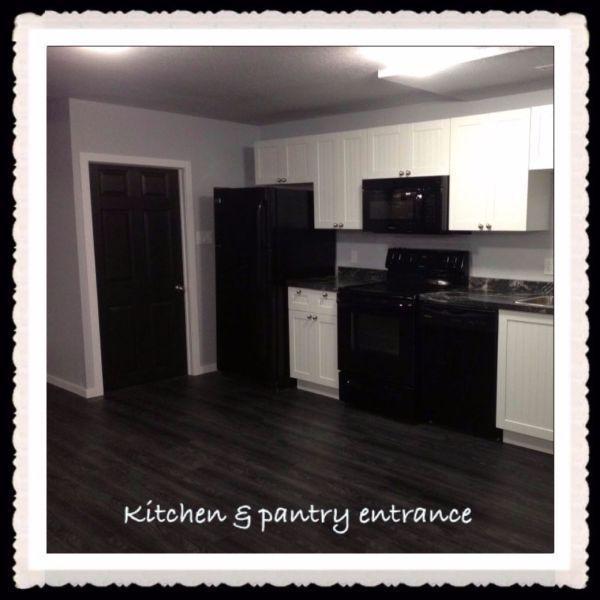 Beautiful 2 Bedroom Basement Suite in Vermilion Lakeland