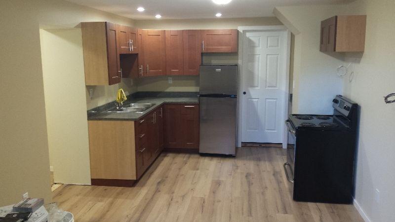 Brand new 1 bed basement suite for rent