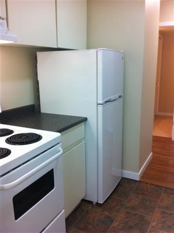 Comfortable Spacious 1 bedroom Available July 15th