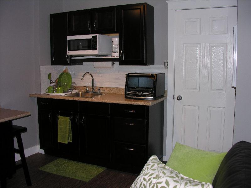 Fully Furnished One Bedroom basement suite
