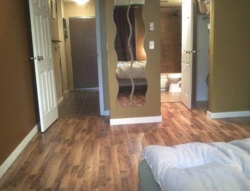 1 bedroom fully renovated beautiful suite in  (Rutland)